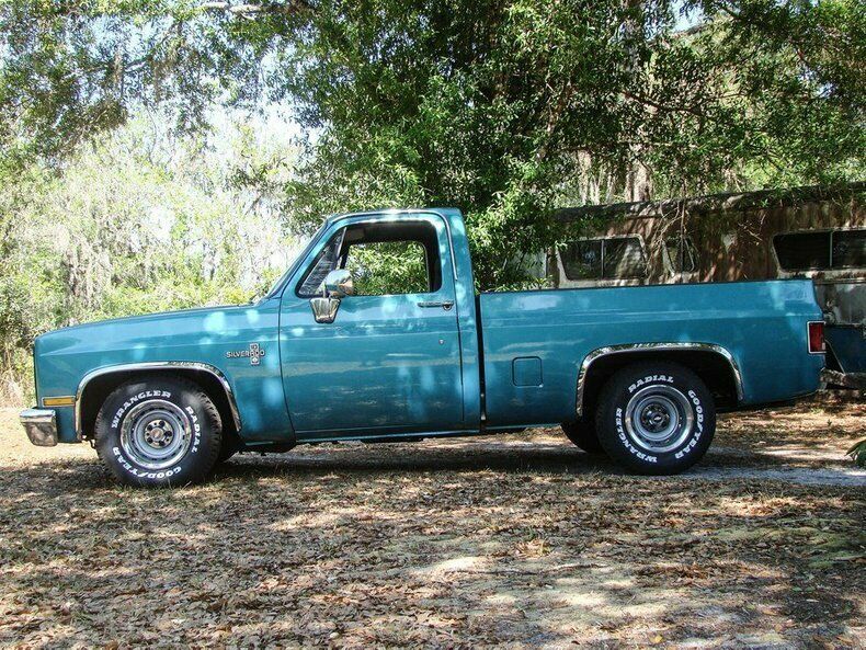 1981 Turquoise Chevrolet Silverado 1500 REG CAB