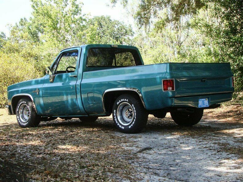 1981 Turquoise Chevrolet Silverado 1500 REG CAB