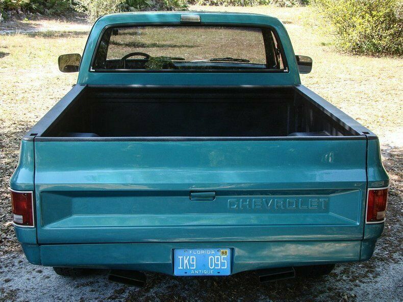 1981 Turquoise Chevrolet Silverado 1500 REG CAB