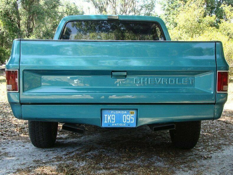 1981 Turquoise Chevrolet Silverado 1500 REG CAB