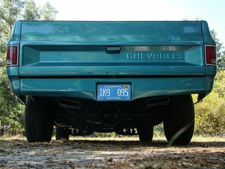 1981 Turquoise Chevrolet Silverado 1500 REG CAB