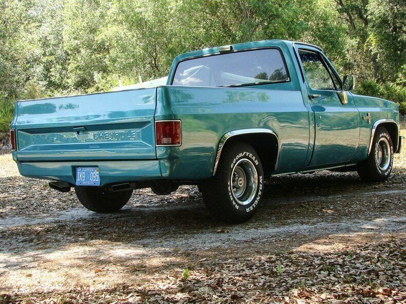 1981 Turquoise Chevrolet Silverado 1500 REG CAB