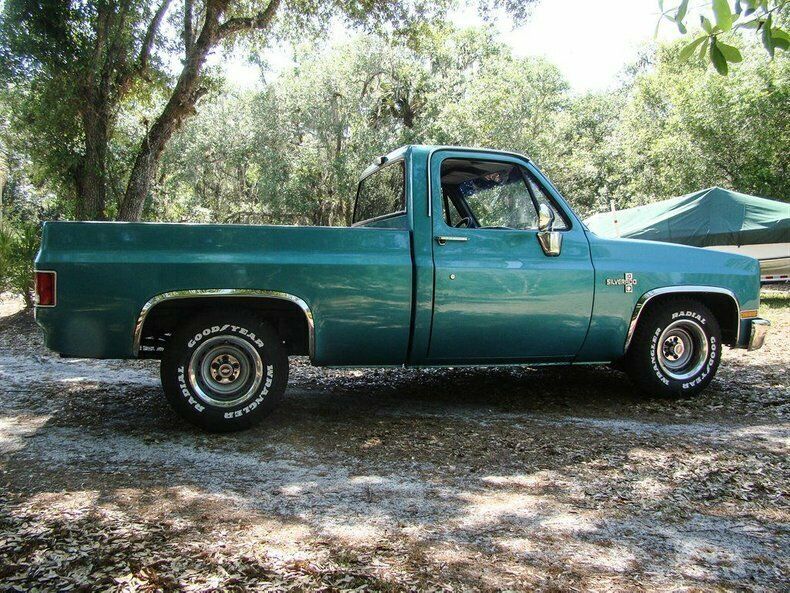 1981 Turquoise Chevrolet Silverado 1500 REG CAB
