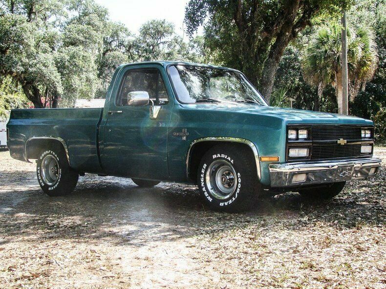 1981 Turquoise Chevrolet Silverado 1500 REG CAB