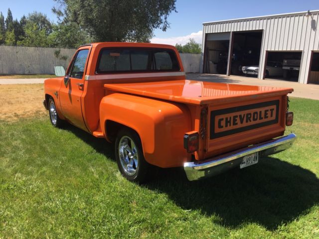 1981 Orange Chevrolet C-10 Standard Cab Pickup