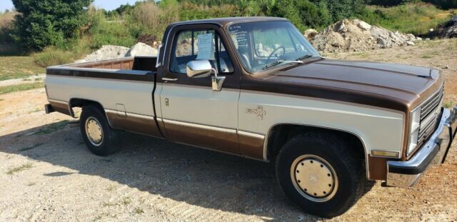 1981 Tan Chevrolet C20 Standard Cab Pickup