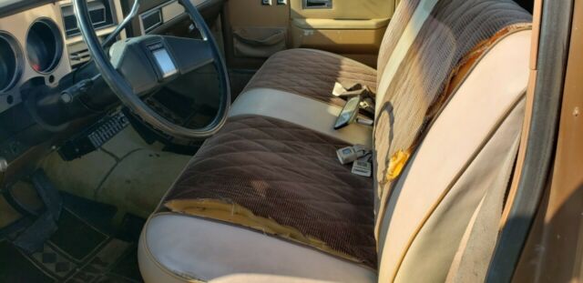1981 Tan Chevrolet C20 Standard Cab Pickup