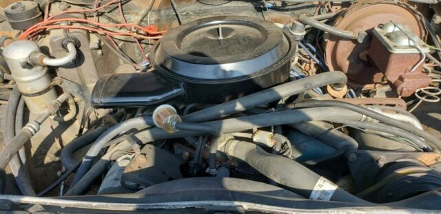 1981 Tan Chevrolet C20 Standard Cab Pickup