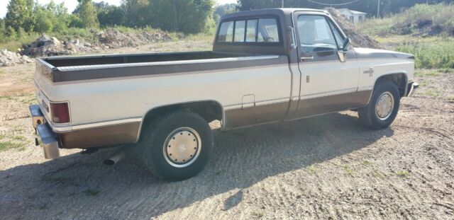 1981 Tan Chevrolet C20 Standard Cab Pickup