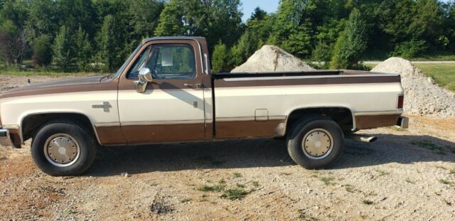 1981 Tan Chevrolet C20 Standard Cab Pickup