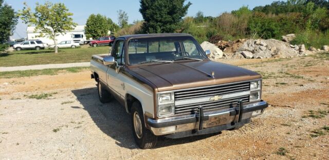1981 Tan Chevrolet C20 Standard Cab Pickup