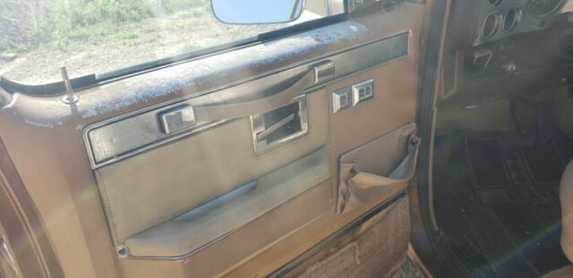 1981 Tan Chevrolet C20 Standard Cab Pickup