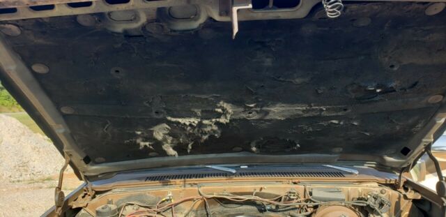 1981 Tan Chevrolet C20 Standard Cab Pickup