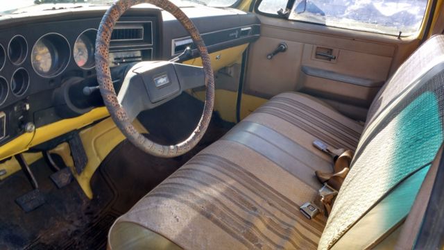 1981 Gray Chevrolet C/K Pickup 1500 Standard Cab Pickup
