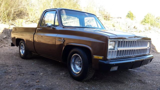 1981 Brown Chevrolet C-10 Standard Cab Pickup