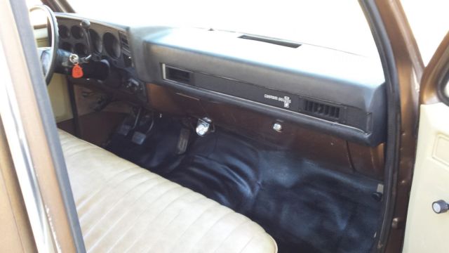 1981 Brown Chevrolet C-10 Standard Cab Pickup
