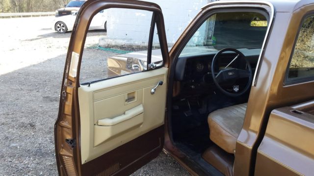 1981 Brown Chevrolet C-10 Standard Cab Pickup