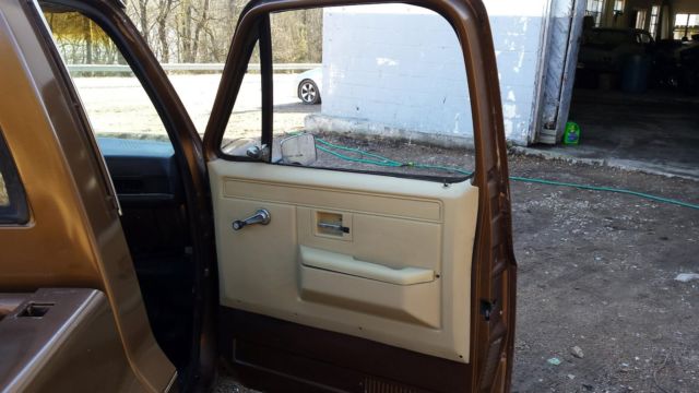 1981 Brown Chevrolet C-10 Standard Cab Pickup
