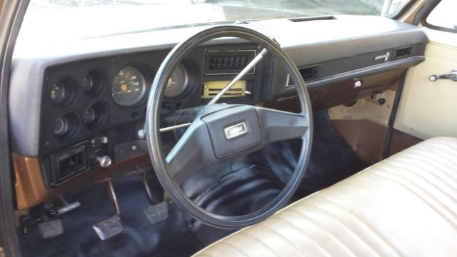 1981 Brown Chevrolet C-10 Standard Cab Pickup