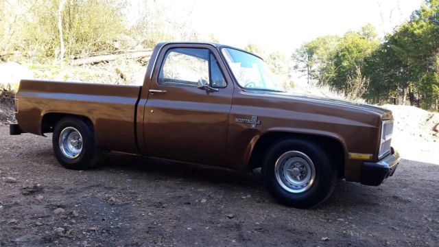1981 Brown Chevrolet C-10 Standard Cab Pickup