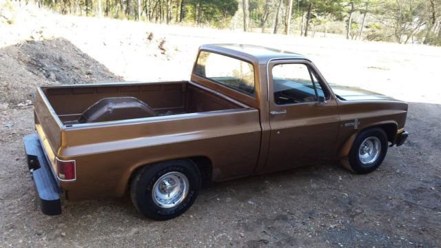 1981 Brown Chevrolet C-10 Standard Cab Pickup