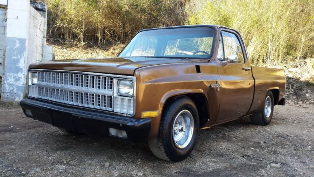 1981 Brown Chevrolet C-10 Standard Cab Pickup