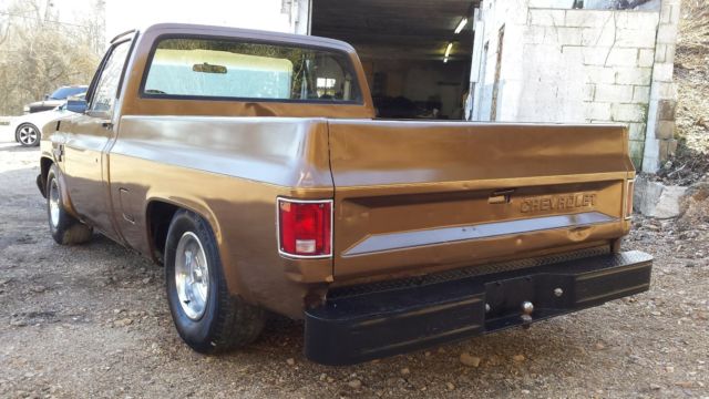 1981 Brown Chevrolet C-10 Standard Cab Pickup