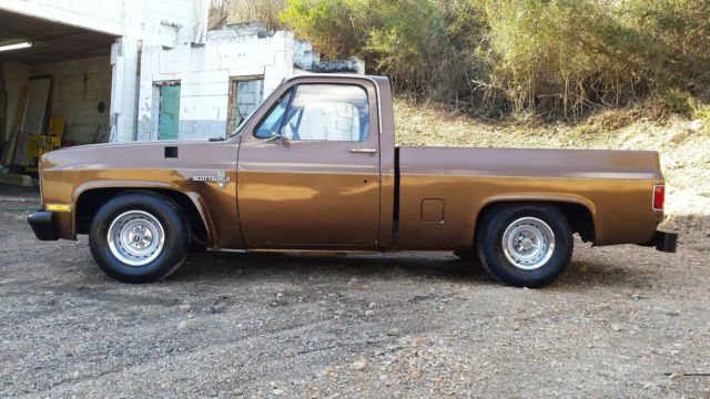 1981 Brown Chevrolet C-10 Standard Cab Pickup