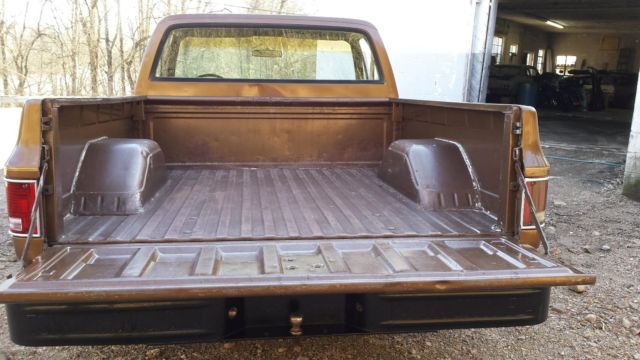 1981 Brown Chevrolet C-10 Standard Cab Pickup