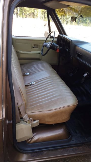 1981 Brown Chevrolet C-10 Standard Cab Pickup