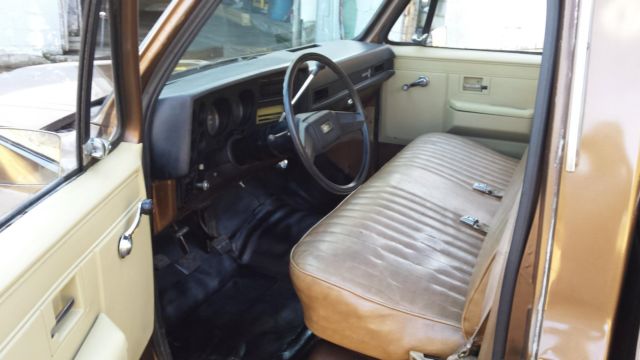 1981 Brown Chevrolet C-10 Standard Cab Pickup