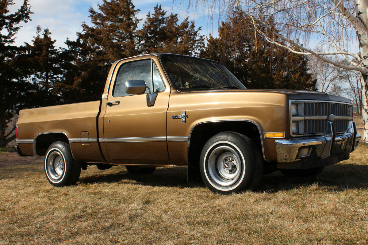 1981 Brown Chevrolet C-10 Standard Cab Pickup