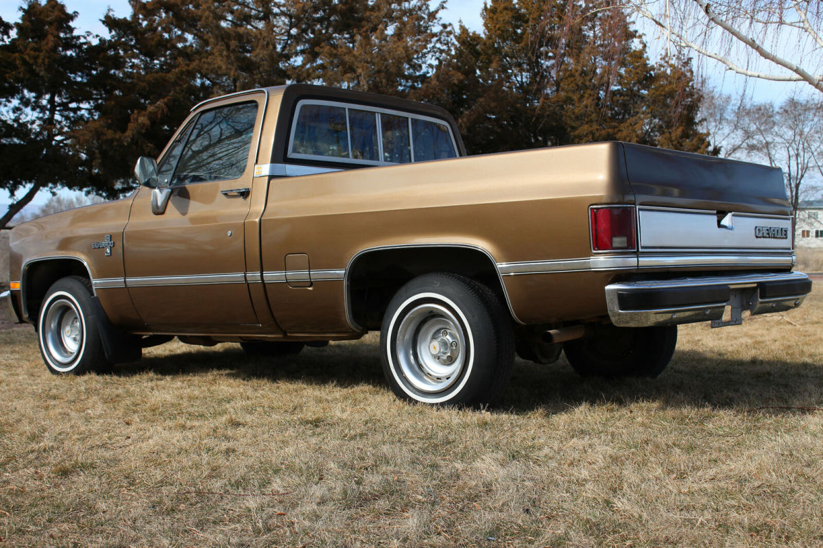 1981 Brown Chevrolet C-10 Standard Cab Pickup