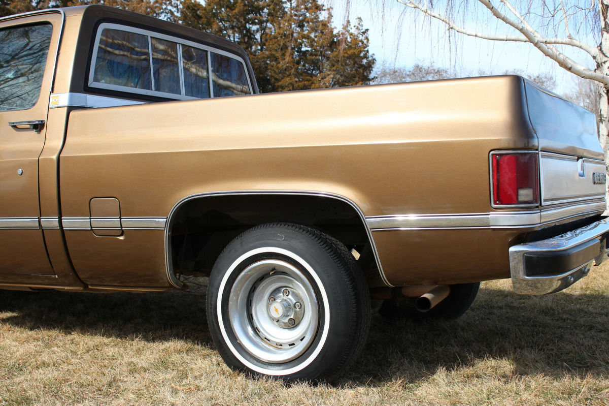 1981 Brown Chevrolet C-10 Standard Cab Pickup
