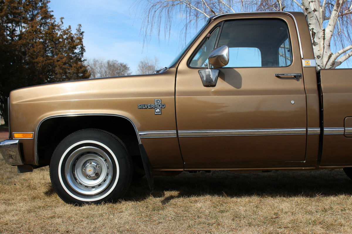 1981 Brown Chevrolet C-10 Standard Cab Pickup