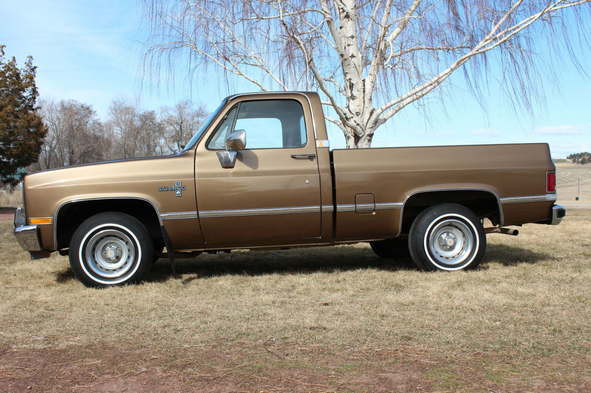 1981 Brown Chevrolet C-10 Standard Cab Pickup