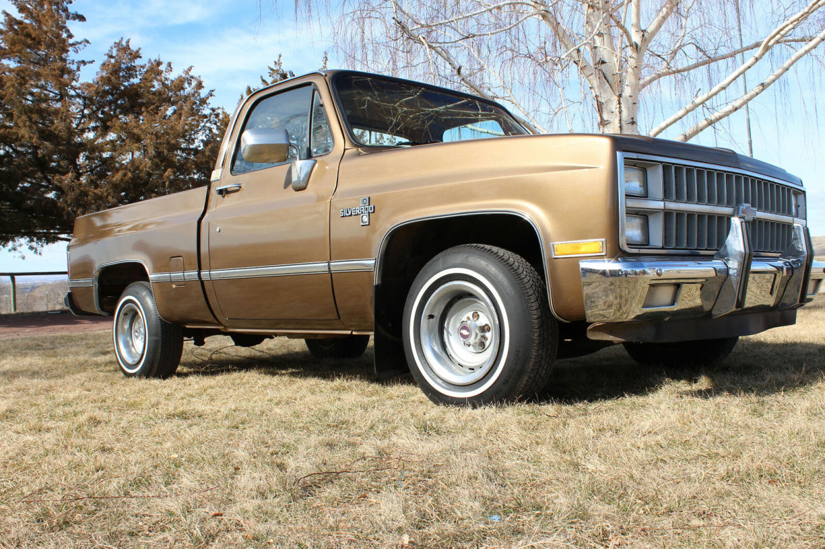 1981 Brown Chevrolet C-10 Standard Cab Pickup