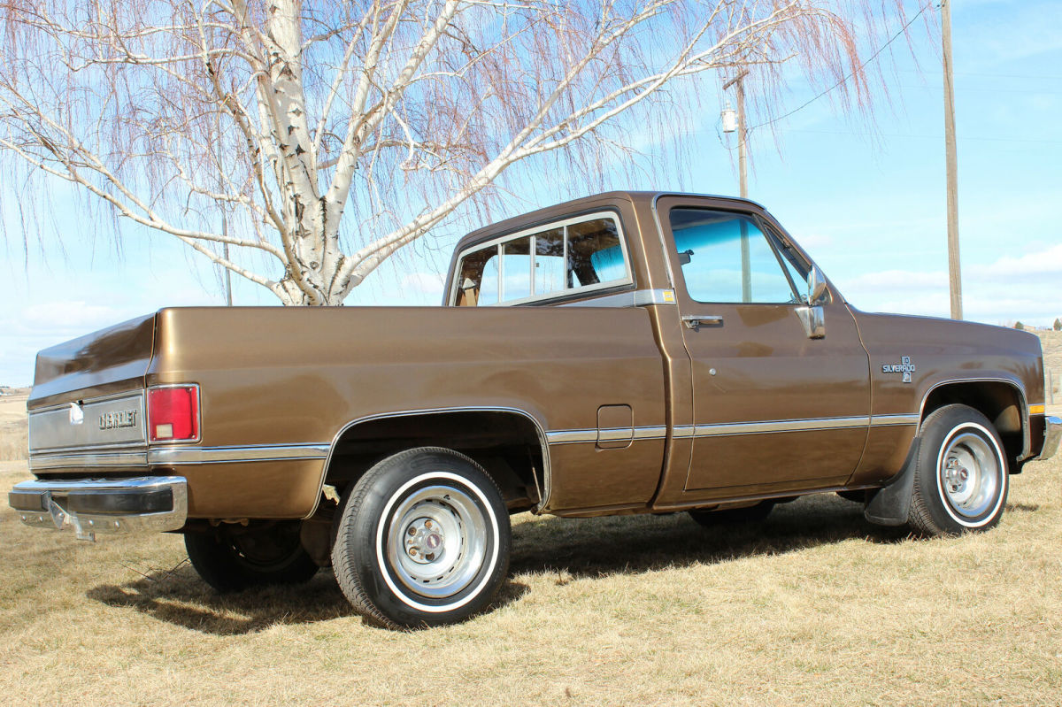 1981 Brown Chevrolet C-10 Standard Cab Pickup