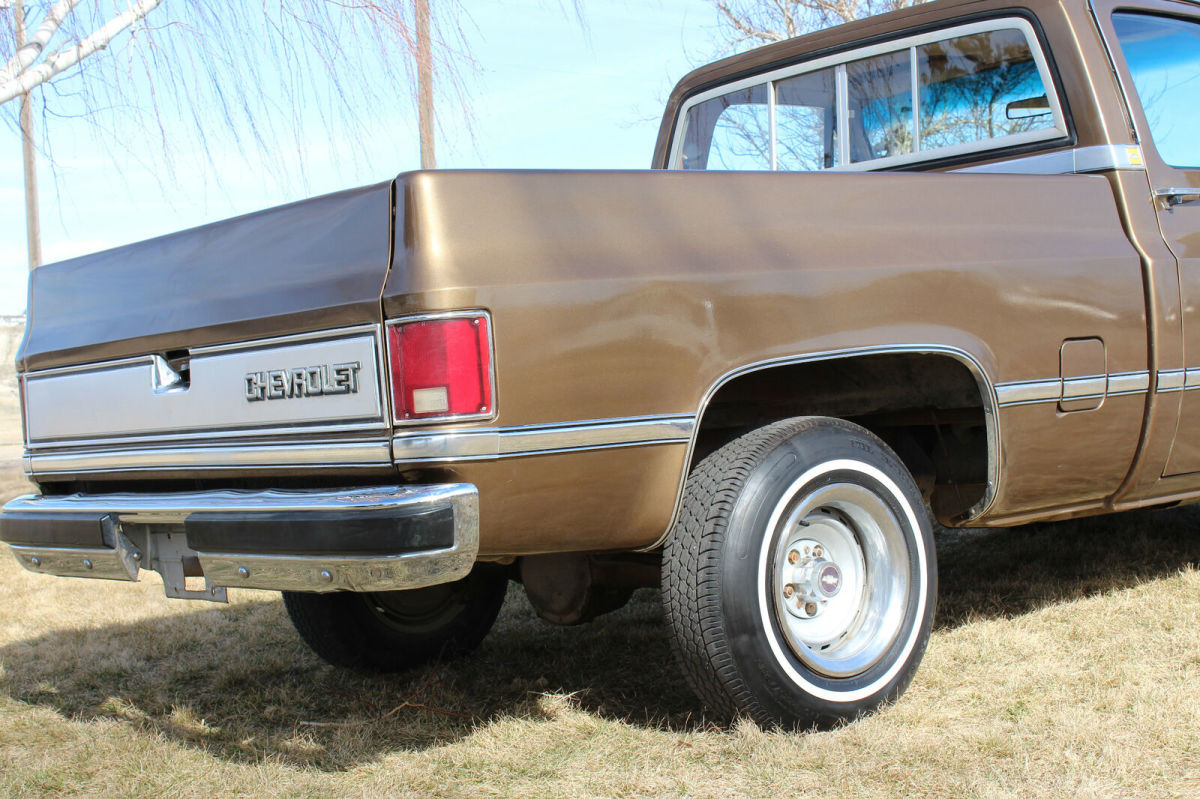 1981 Brown Chevrolet C-10 Standard Cab Pickup