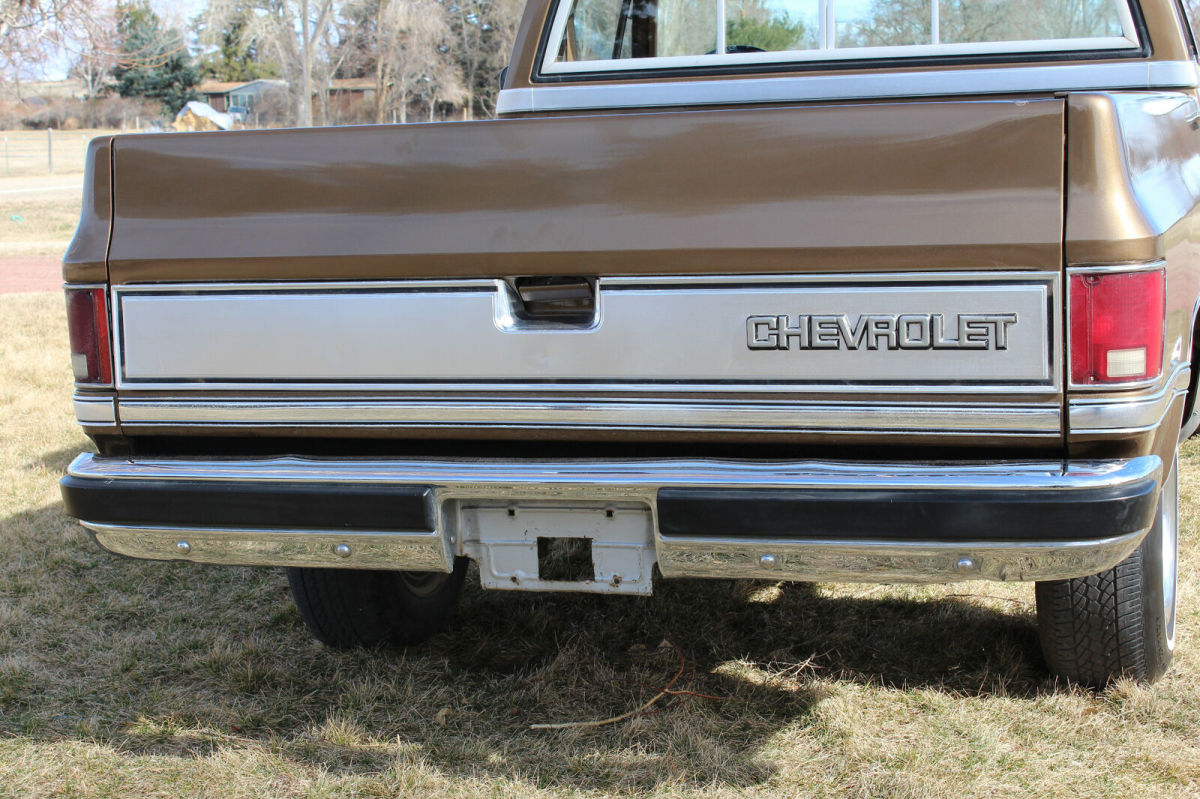 1981 Brown Chevrolet C-10 Standard Cab Pickup