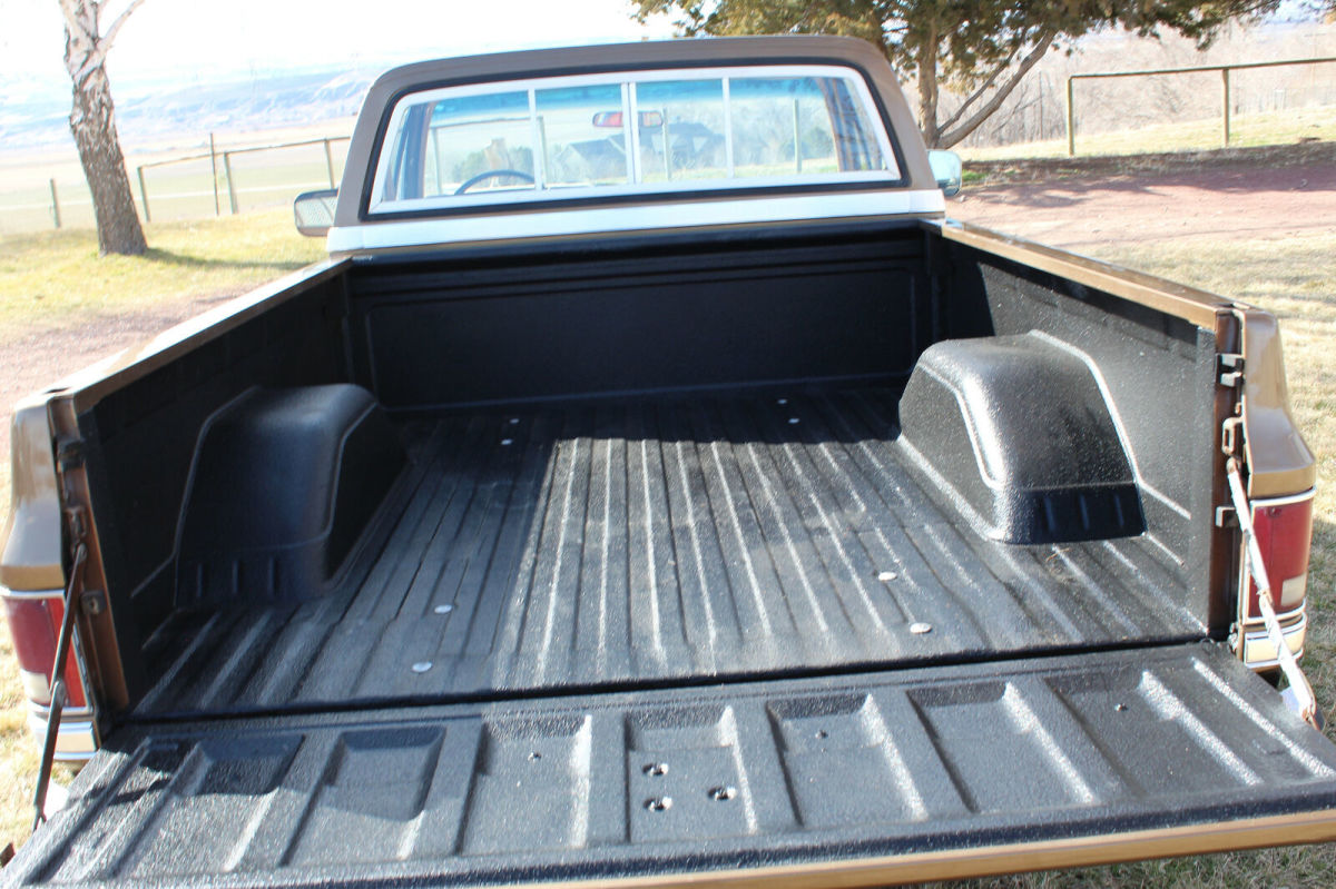 1981 Brown Chevrolet C-10 Standard Cab Pickup