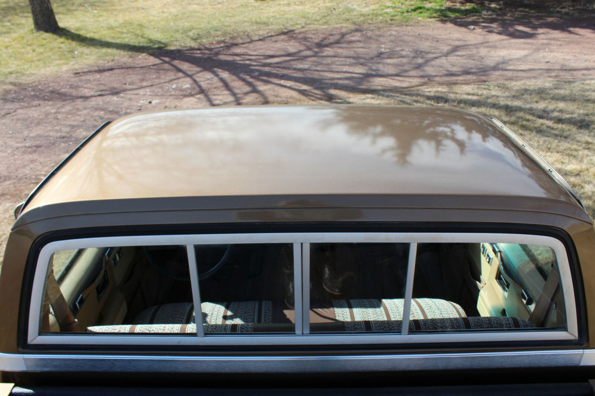1981 Brown Chevrolet C-10 Standard Cab Pickup