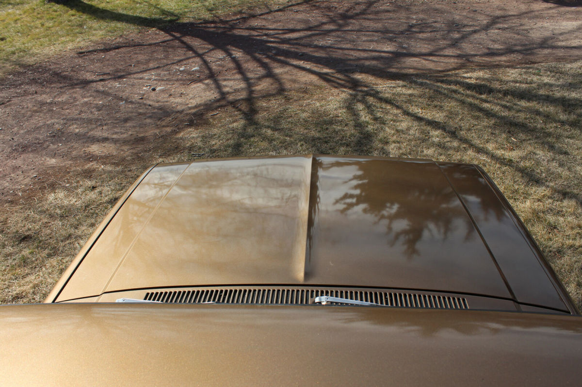 1981 Brown Chevrolet C-10 Standard Cab Pickup