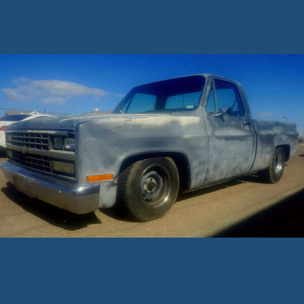 1981 Primer Chevrolet C-10 Standard Cab Pickup
