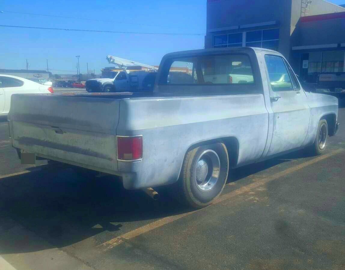 1981 Primer Chevrolet C-10 Standard Cab Pickup