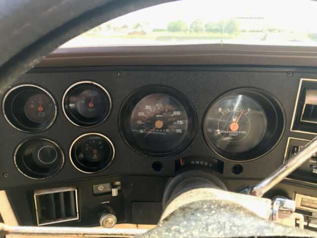 1981 Cream Chevrolet C-10 Standard Cab Pickup