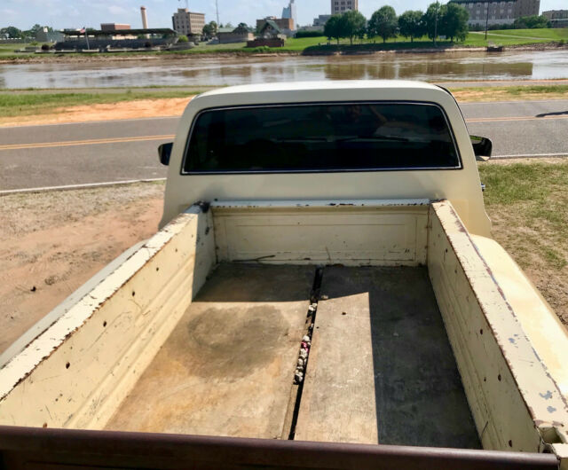 1981 Cream Chevrolet C-10 Standard Cab Pickup