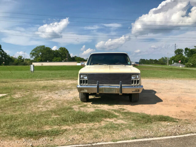 1981 Cream Chevrolet C-10 Standard Cab Pickup