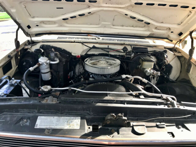 1981 Cream Chevrolet C-10 Standard Cab Pickup