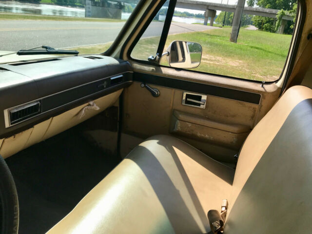 1981 Cream Chevrolet C-10 Standard Cab Pickup